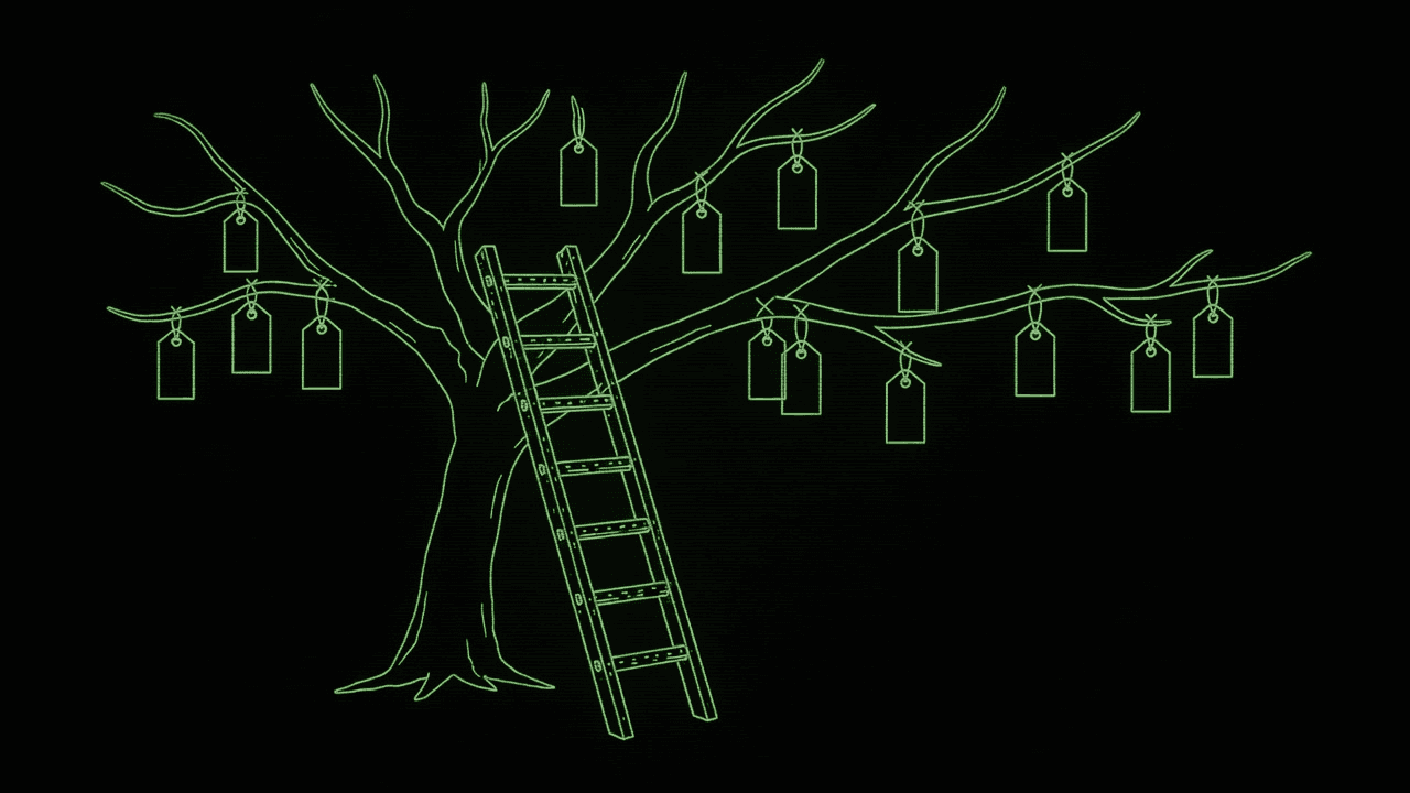 A man on a ladder hangs tags on apple trees in an orchard